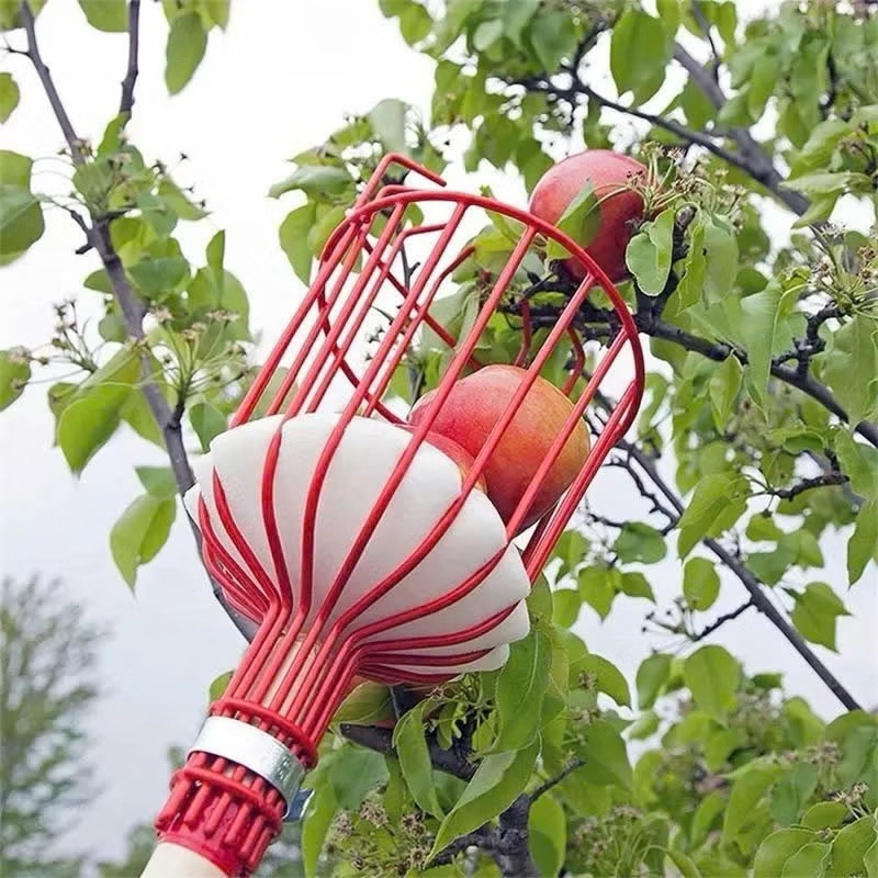 Giỏ hái trái cây,dụng cụ giật hái trái cây lồng vặt hoa quả trên cao có sơn tĩnh điện tiện lợi