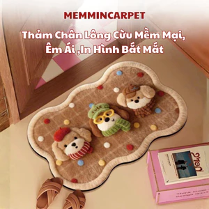 Thảm lau chân lông cừu, thảm chùi chân 50 mẫu thiết kế siêu thấm - 40cm x 60cm- Memmincarpet - TH109