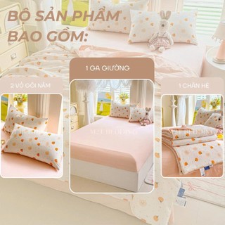 Bộ Chăn Ga Gối Cotton Đũi Windy M2T Bedding Gồm Ga Giường 2 Vỏ Gối Và Chăn Chần Bông Hè