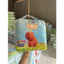 Tã Bỉm Quần CAPYCAPY ChínhHãng Đủ Size Cho Bé Từ MĐến5XL -LêMinhHươngShop