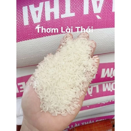 10KG THƠM LÀI THÁI - DẺO THƠM - DAI CƠM - NGỌT CƠM - HẠT GẠO ĐẸP TRẮNG TRONG