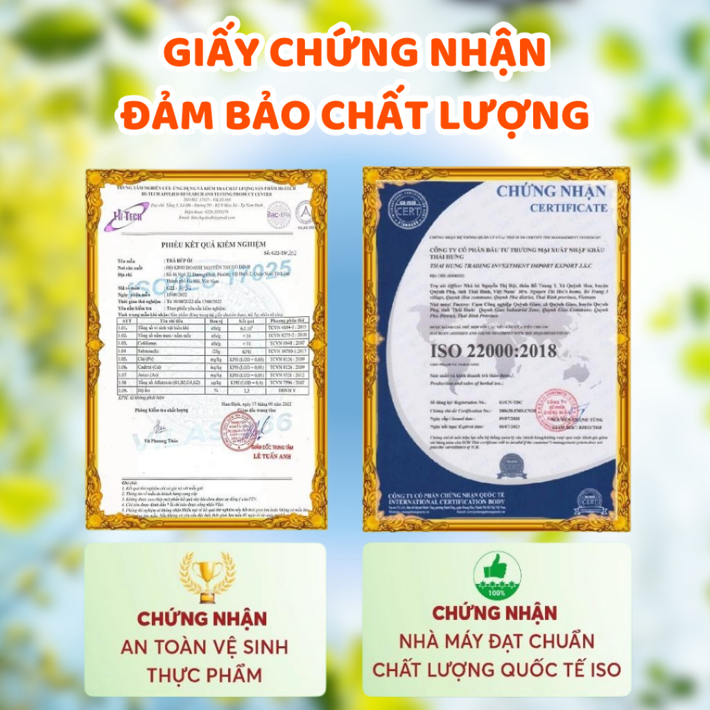 Trà Lá Ổi Green Tea Hộp 60 Túi Lọc Hỗ Trợ Giảm Cân, Trà Búp Ổi Giảm Đường Huyết, Cải Thiện Tiêu Hóa