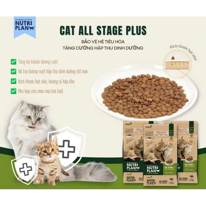 [Sẵn - Hỏa Tốc] Thức Ăn Cho Mèo Catsrang Bổ Sung Omega 3 6 9 Tốt Cho Da Lông 5kg, 4kg
