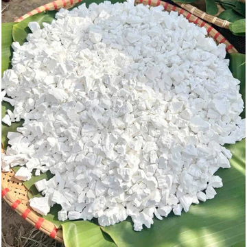 Bột Sắn Dây Nguyên Chất 500g/1kg – Sắn Dây Ta Giải Nhiệt, Thanh Mát, Thanh Lọc Cơ Thể