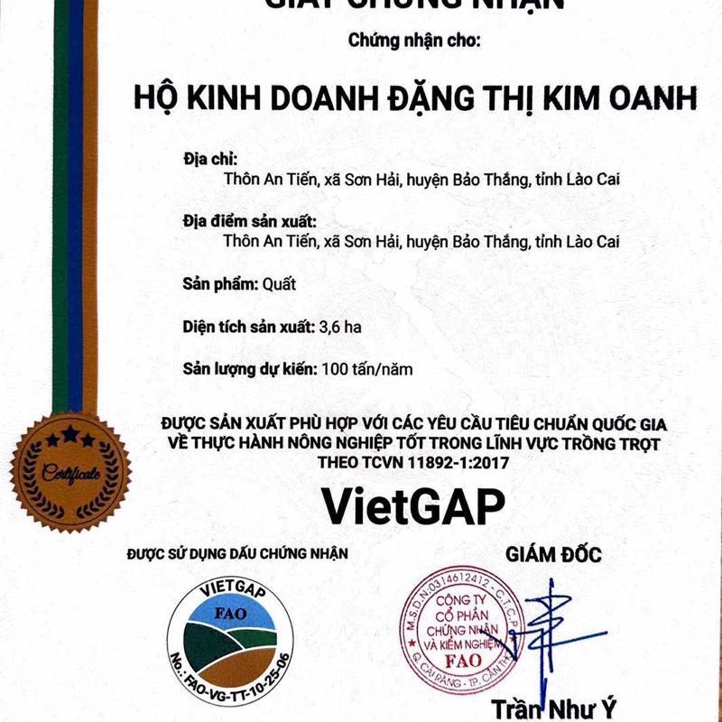 Quất Ngâm Mật Ong Hoa Nhãn OCOP Từ Vườn VietGAP 3.6ha 300g