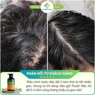 Combo Dầu gội Thuần Mộc và sữa tắm Thuần Mộc hỗ trợ giảm ngứa, hỗ trợ làm sạch da