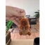 Móc khóa cabyara treo balo cho bé đi học siêu cute
