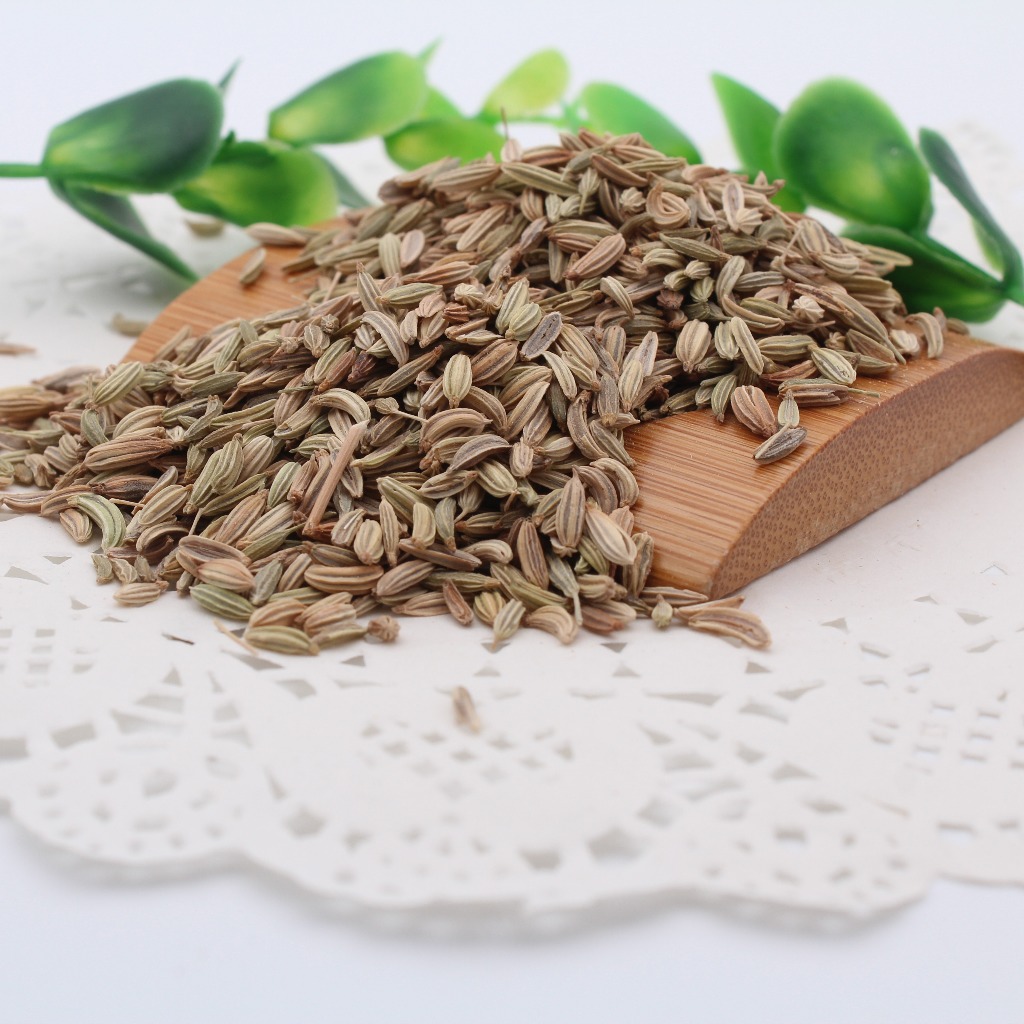 Tiểu hồi sấy khô cao cấp - Hàng sạch giá tốt chuẩn Tấn Phát