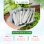 120 Gói Trà Lá Nam 10 Vị Thảo Dược Zone Dạng Nghiền