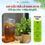 120 Gói Trà Lá Nam 10 Vị Thảo Dược Zone Dạng Nghiền