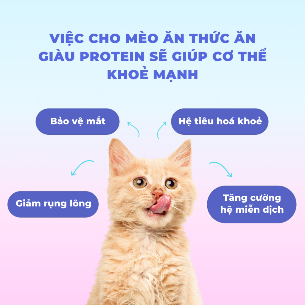 Hạt Cho Mèo Bite Of Wild Cao Cấp P42 1Kg Chứa 92% Hàm Lượng Thịt Mix Kèm Viên Sấy Khô