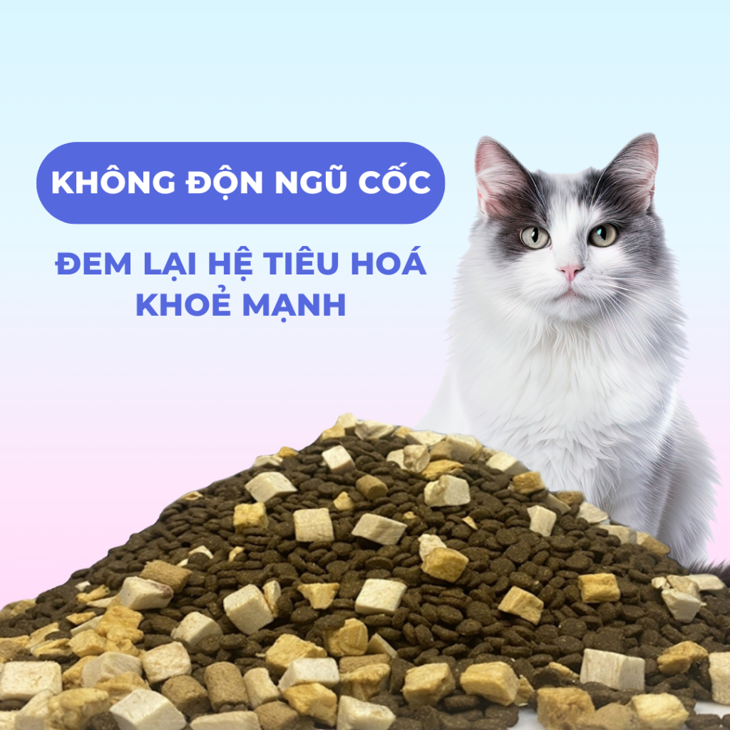 Hạt Cho Mèo Bite Of Wild Cao Cấp P42 1Kg Chứa 92% Hàm Lượng Thịt Mix Kèm Viên Sấy Khô