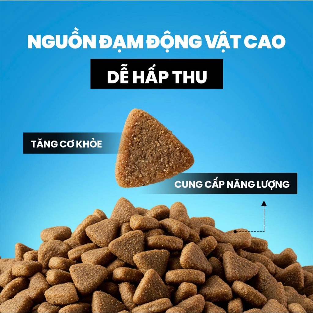 Hạt Cho Mèo Cat's On Plus Hạt Quốc Dân Tăng Cường Mùi Vị Bổ Sung Dinh Dưỡng Cho Mèo Mọi Lứa Tuổi