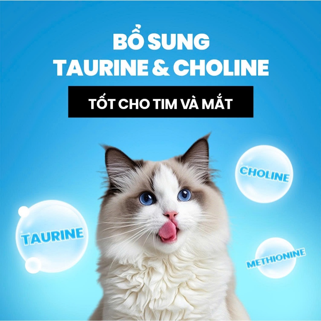 Hạt Cho Mèo Cat's On Plus Hạt Quốc Dân Tăng Cường Mùi Vị Bổ Sung Dinh Dưỡng Cho Mèo Mọi Lứa Tuổi