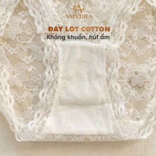 Quần Lót Nữ AMYBRA Ren Hoa Xuyên Thấu quyến rũ, Quần Chip Đáy May Cotton Kháng Khuẩn L104
