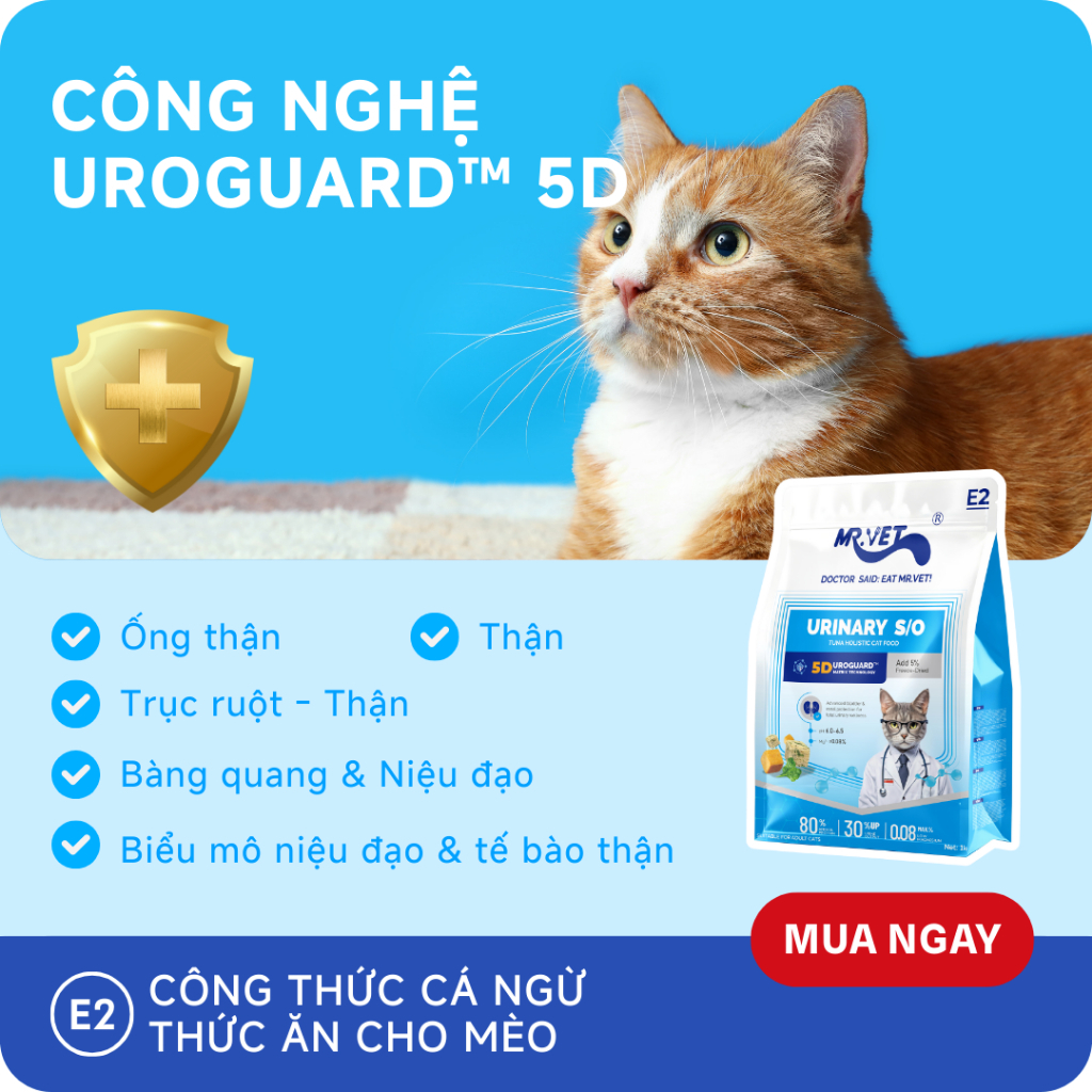Hạt Cho Mèo MRVET E2 Gói Dùng Thử 50G Chăm Sóc Tiết Niệu Đa Chiều, 80% Đạm Từ Cá Ngừ & Gà