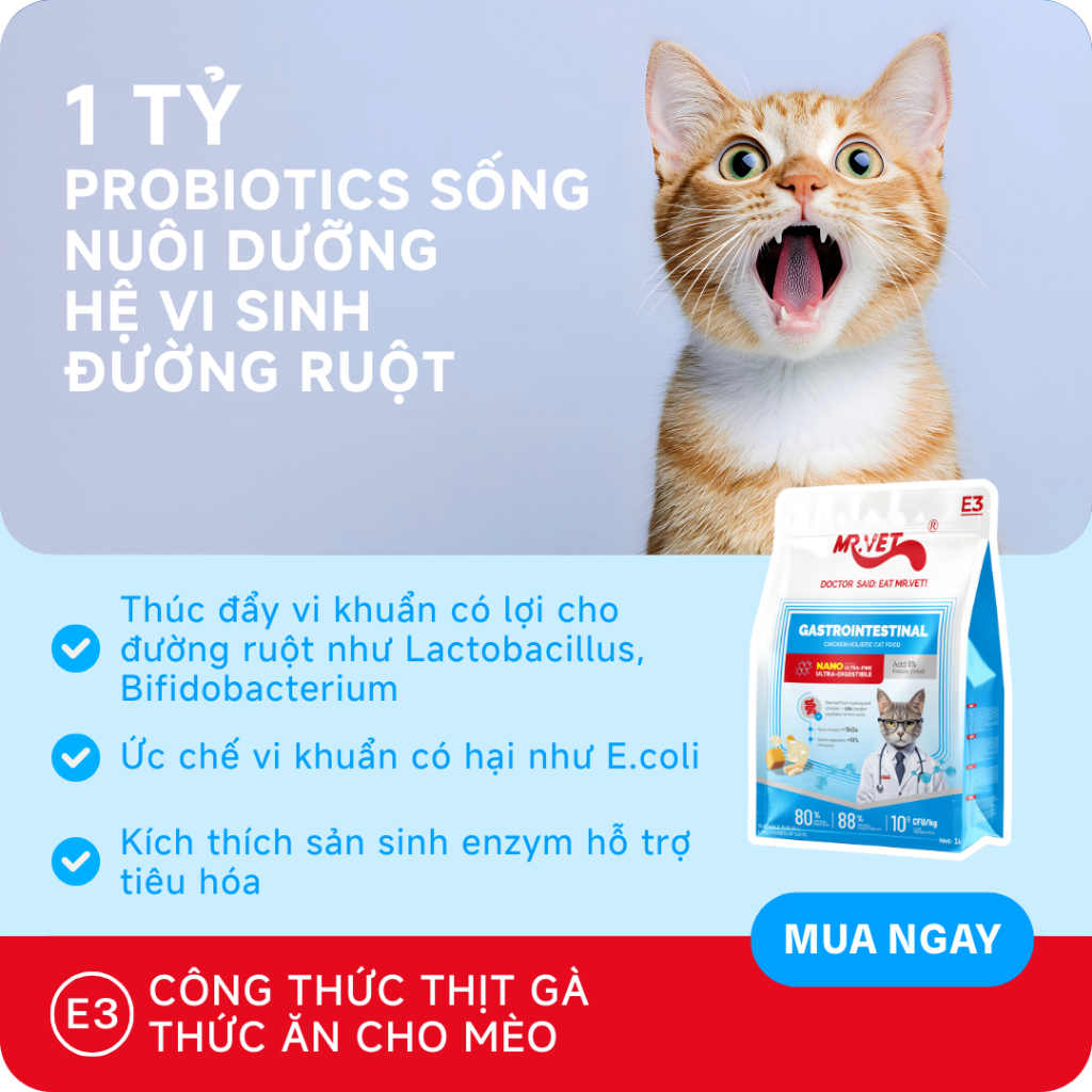 Hạt Cho Mèo MRVET E3 Gói 50G Công Thức Protein Siêu Mịn, Chăm Sóc Hệ Tiêu Hóa Chuyên Sâu