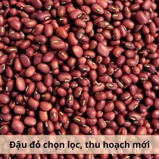[500Gr] Đậu Đỏ Hạt Nhỏ Rang Hồn Quảng- Hạt Chắc, Thơm Bùi Tự Nhiên, Nguyên Liệu Pha Trà Đậu Đỏ, Làm Bột Ngũ Cốc