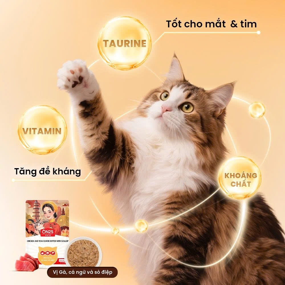 [Thùng 48 Gói] Pate Cho Mèo ON25 PATE 80g Thịt Thật Dinh Dưỡng, Chăm Sóc Da Lông Bóng Mượt