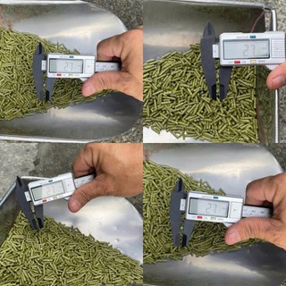 Cỏ Alfalfa Mỹ Ép Viên NHƯ TRƯƠNG - Cám Cỏ Giúp Gà ,Hamster, Bọ Ú, Thỏ Mát Gan, Mượt Lông, Tăng Cơ