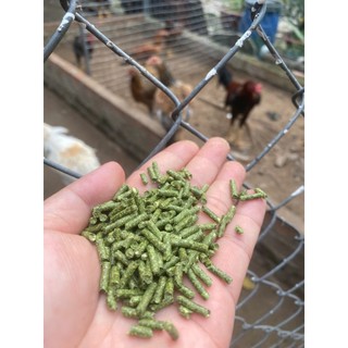Cỏ Alfalfa Mỹ Ép Viên NHƯ TRƯƠNG - Cám Cỏ Giúp Gà ,Hamster, Bọ Ú, Thỏ Mát Gan, Mượt Lông, Tăng Cơ