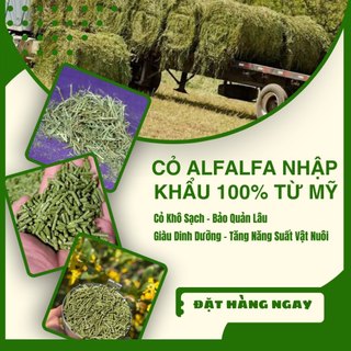 Cỏ Alfalfa Mỹ Ép Viên NHƯ TRƯƠNG - Cám Cỏ Giúp Gà ,Hamster, Bọ Ú, Thỏ Mát Gan, Mượt Lông, Tăng Cơ