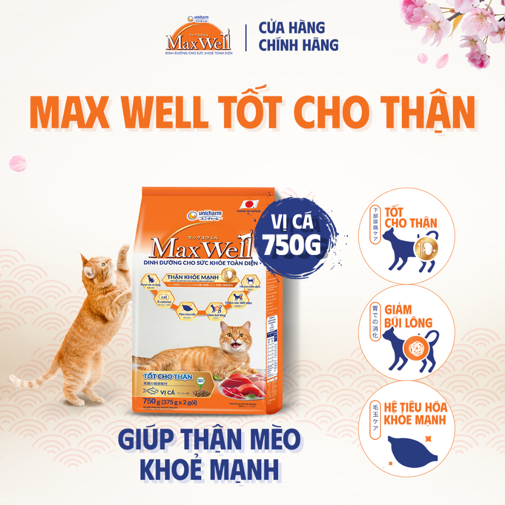Hạt Cho Mèo Maxwell Hạt Tiết Niệu, Tốt Cho Thận Cân Bằng Dinh Dưỡng Dành Cho Mèo Mọi Lứa Tuổi