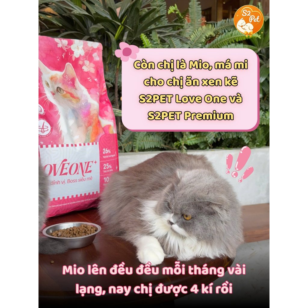 Hạt Cho Mèo S2 Pet Love One Vị Cá Hồi Và Gà Thơm Ngon Dễ Tiêu Hoá, Tăng Cường Sức Đề Kháng Cho Mèo