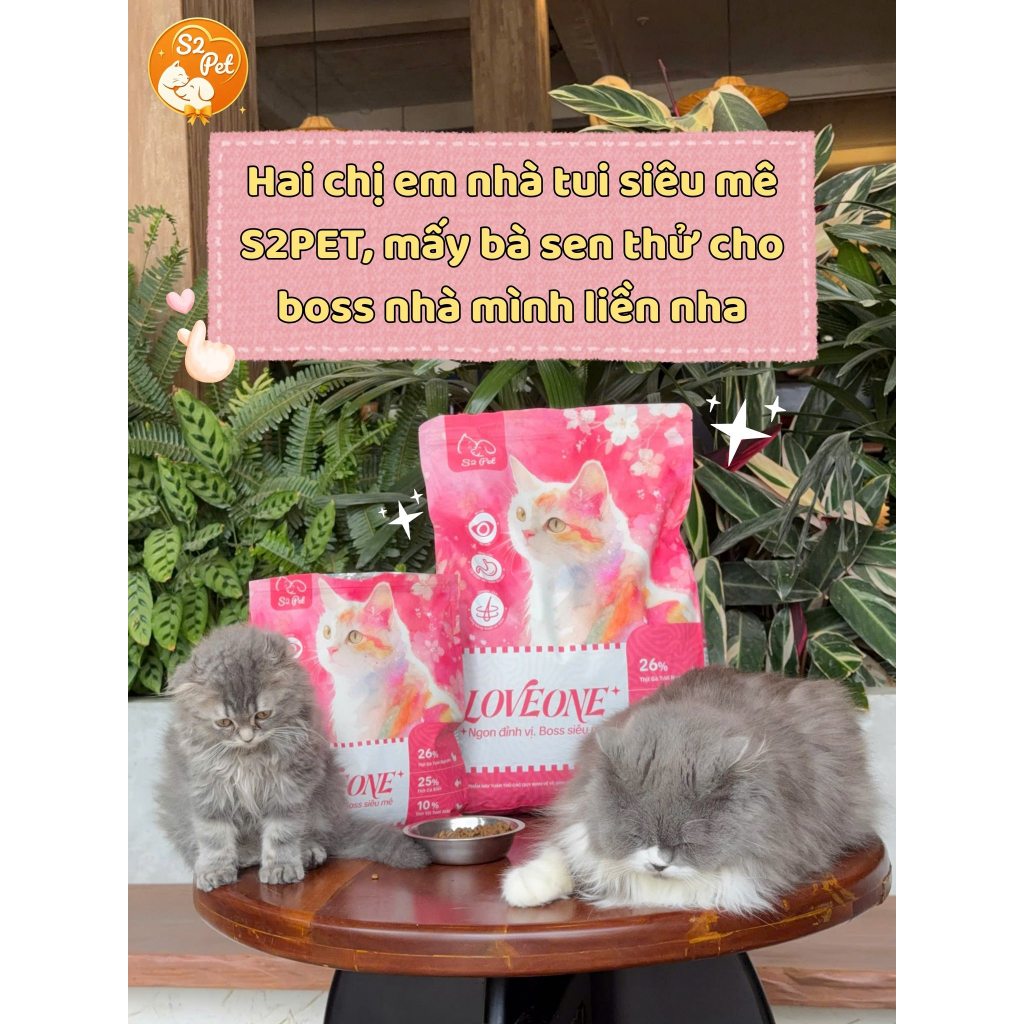 Hạt Cho Mèo S2 Pet Love One Vị Cá Hồi Và Gà Thơm Ngon Dễ Tiêu Hoá, Tăng Cường Sức Đề Kháng Cho Mèo