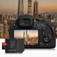 Thẻ nhớ SanDisk Extreme Pro MicroSDXC 128GB 256GB 200MB/s - Tối ưu chạy ứng dụng A2 cực nhanh cho Android