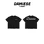 ÁO THUN BOXY DAMIESE "LOGO KIM TUYẾN" COTTON 260GSM