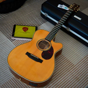 Guitar Acoustic Enya V1 SP1