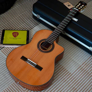 Murcia Fusion MH5 classic guitar
