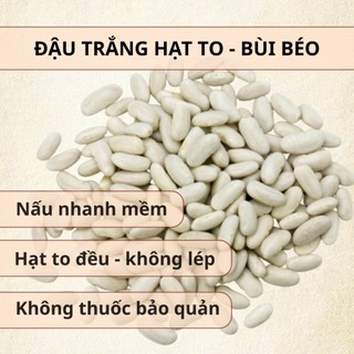 Đậu Tây Trắng Hữu Cơ Hồn Quảng [NON-GMO] – Đậu Thận Trắng - Bở Bùi, Dễ Nấu Bò Kho, Sữa Hạt
