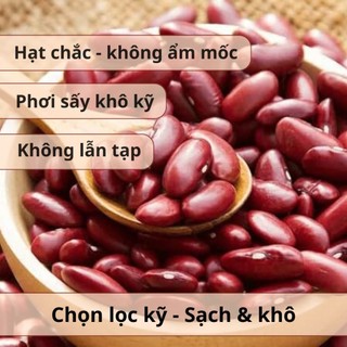 [500Gr] Đậu Thận Đỏ Hữu Cơ Hồn Quảng (NON-GMO) - Đậu To Chắc, Bở Bùi Nấu Chè, Làm Salad, Món Hầm (Hạt Sống)