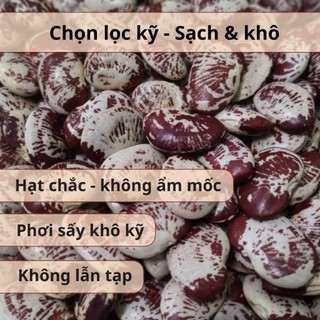 [500Gr] Đậu Ngự Hữu Cơ Hồn Quảng - Hạt To Chắc, Bở Bùi Nấu Chè , Hầm Xương, Làm Sữa Hạt (Hạt Sống)