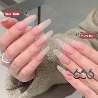 Set Gel Dặm Che Khuyết Điểm 4 Ô CHUANHUI – Gel Nền Ombre Má Hồng Tự Nhiên, Che Nền Móng Chuẩn Salon Thegioinail666