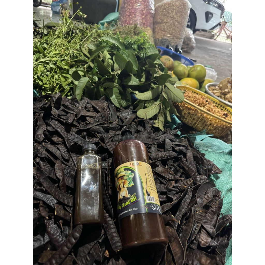 CỐT BỒ KẾT