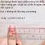 NAIL BOX VÀNG PASTEL HOA LOANG FRECNH ĐẦU MÓNG