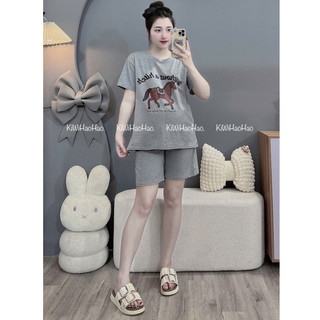 Bộ bầu - bộ sau sinh - BỘ ĐÙI COTTONG HÌNH NGỰA - 4 Màu, Quần Có Chun Chỉnh