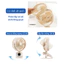 Quạt tích điện mini có đèn ngủ và kẹp VTEK, quạt tích điện, quạt mini để bàn pin 15 tiếng