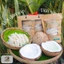 Dừa Sáp Đặc Arifarm _ Đặc Bi Size Nhỏ - Cơm dày béo dẻo