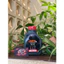 Motul Combo Siêu Tiết Kiệm 2 Chai Dầu Nhớt Scooter Power LMB 5W-40 Chất Lượng Cao