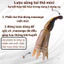 Lược massage đầu dưỡng sinh, ống sừng tai thỏ mát xa mặt mũi-cổ vai gáy hiệu quả, thư giãn mỗi ngày-MỸ NGHỆ DƯỠNG SINHHT
