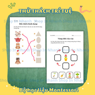 15 tờ a4 trò chơi thử thách trí tuệ dành cho bé vừa học vừa chơi rèn luyện tư duy logic