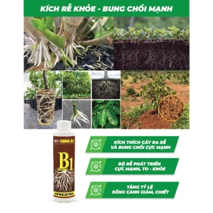 Phân Bón Lá TRIMIX - B1 Greenhome, Điền Trang, Chai 150ml, Kích Rễ, Tạo Mầm, Phục Hồi Rễ Yếu, Lá Dày
