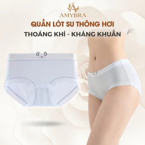 Quần Lót Nữ Su Thông Hơi Đáy May Kháng Khuẩn, Quần Chip Nữ Cạp Vừa Họa Tiết Dễ Thương AMYBRA L718