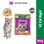 Thức Ăn Cho Mèo Lớn Dạng Sốt WHISKAS - 80g (14 gói)