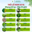 Hộp 30 Gói Trà Lá Nam 10 Vị Thảo Dược Zone Dạng Túi Lọc