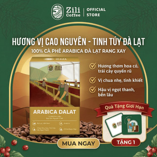 Cà Phê Arabica Dalat - Zili Coffee - VỊ CHUA NHẸ, HOA, TRÁI CÂY ĐỎ, NGỌT THANH [Hộp 8 TÚI LỌC x 15g]